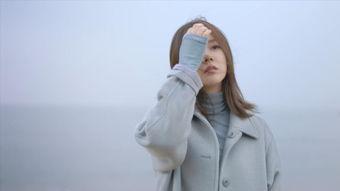 日本japanesevideo画家,捕捉光影流转的东方美学